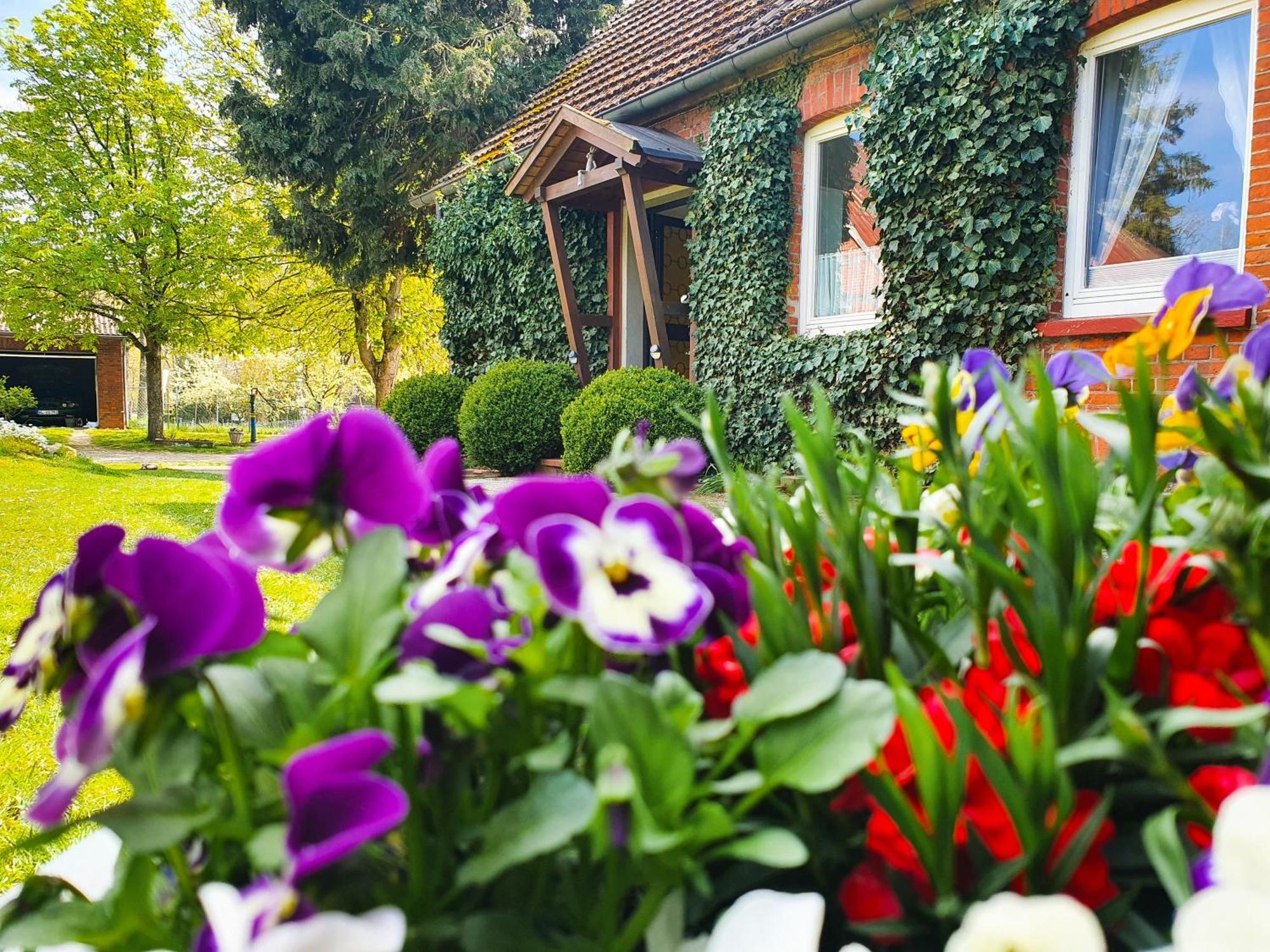 Am Alten Haus Altenmedingen Exterior foto